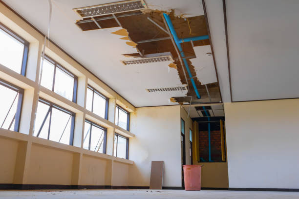 Best Local water damage restoration  in Fontana, CA