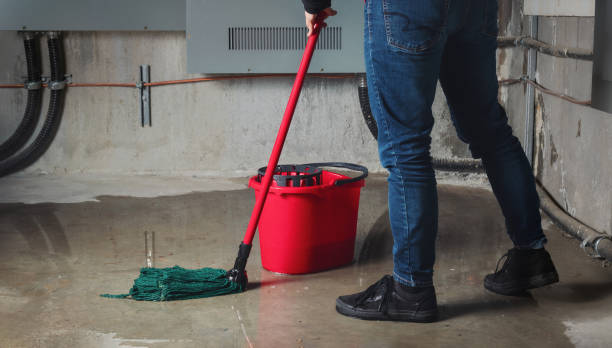 Best Water damage restoration specialists  in Fontana, CA
