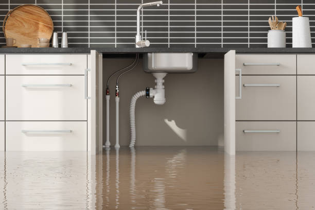 Best Water damage restoration services  in Fontana, CA